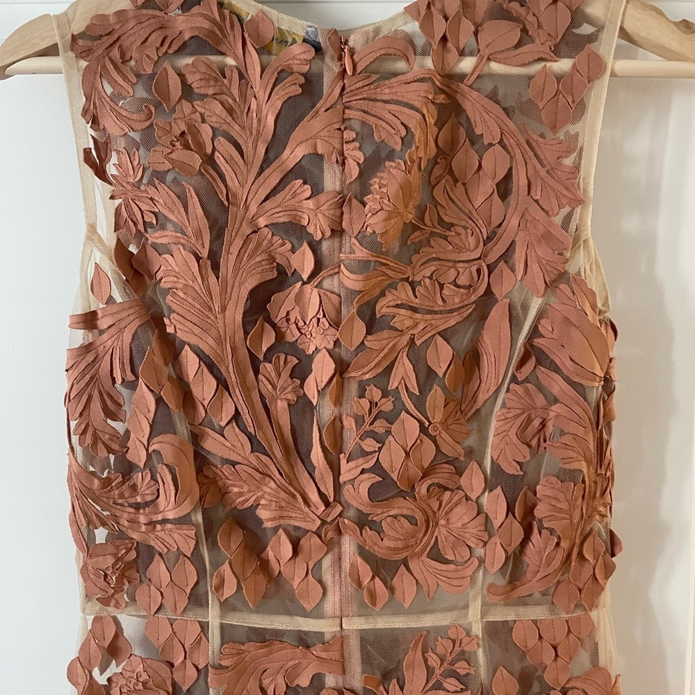 Pankaj & Nidhi Anthropologie Gorgeous Sheer Lace Dress | Small - Picture 4 of 5